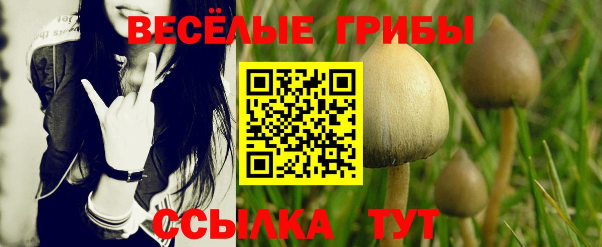 Санкт-Петербург  Галлюциногенные грибы ЛСД  Вход с VPN 